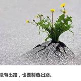 ^O^小草头像