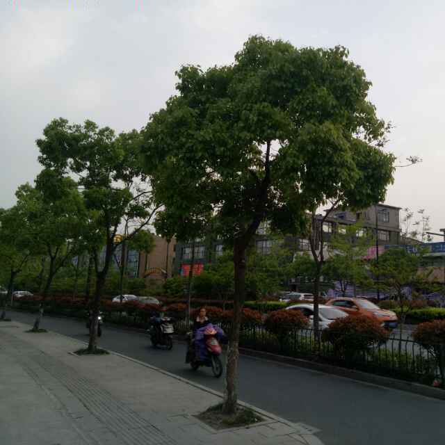 爱伱的宿命头像