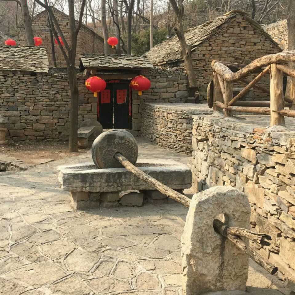 相玲红薯头像
