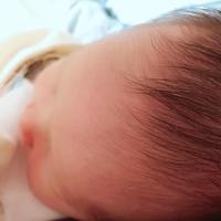 叔叔没有犄角也没有尾头像