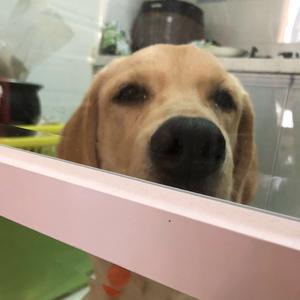 黄十一Max头像