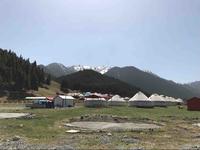 快乐哟油条头像