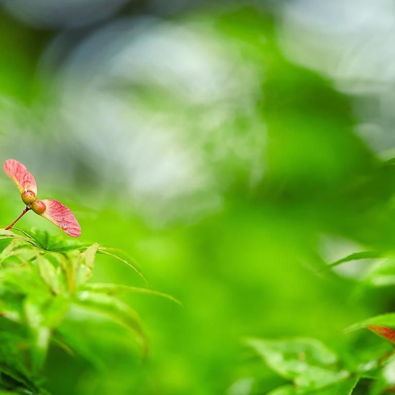 赵学斌爱运动头像