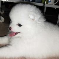 今儿星星点点头像