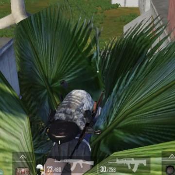 热情的白云GP头像