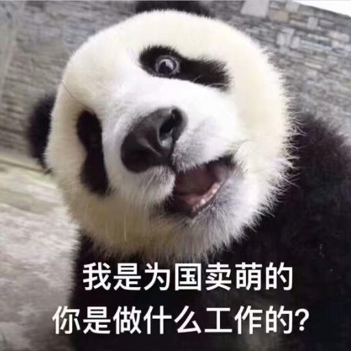 hkif头像