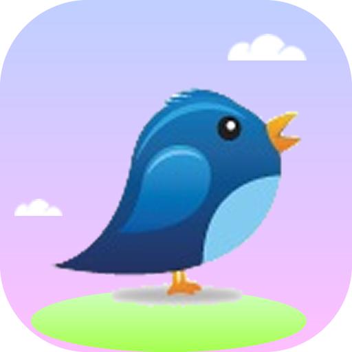 筑梦菜鸟9527头像
