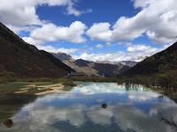 摩特不是模特头像