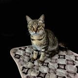 用户64969050076头像