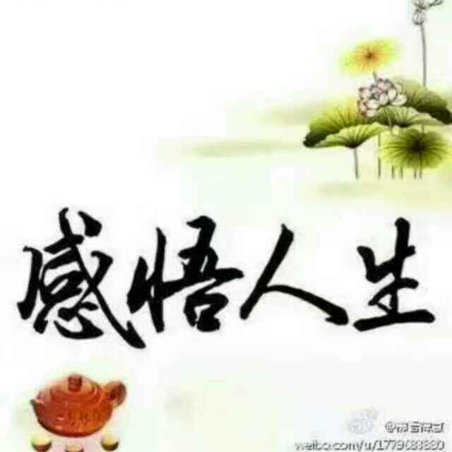 忘忧草8628903682749头像