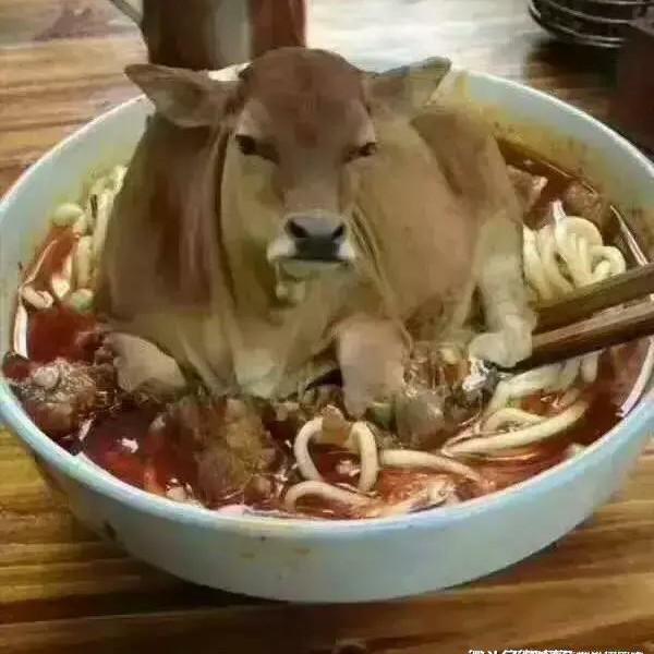 曾百望头像