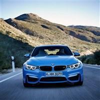 倔强的兔子头像