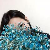 梦菲yiov头像