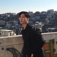 春晓dcfy头像