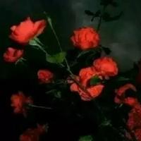 郁宴头像