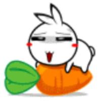 小林家的丹头像