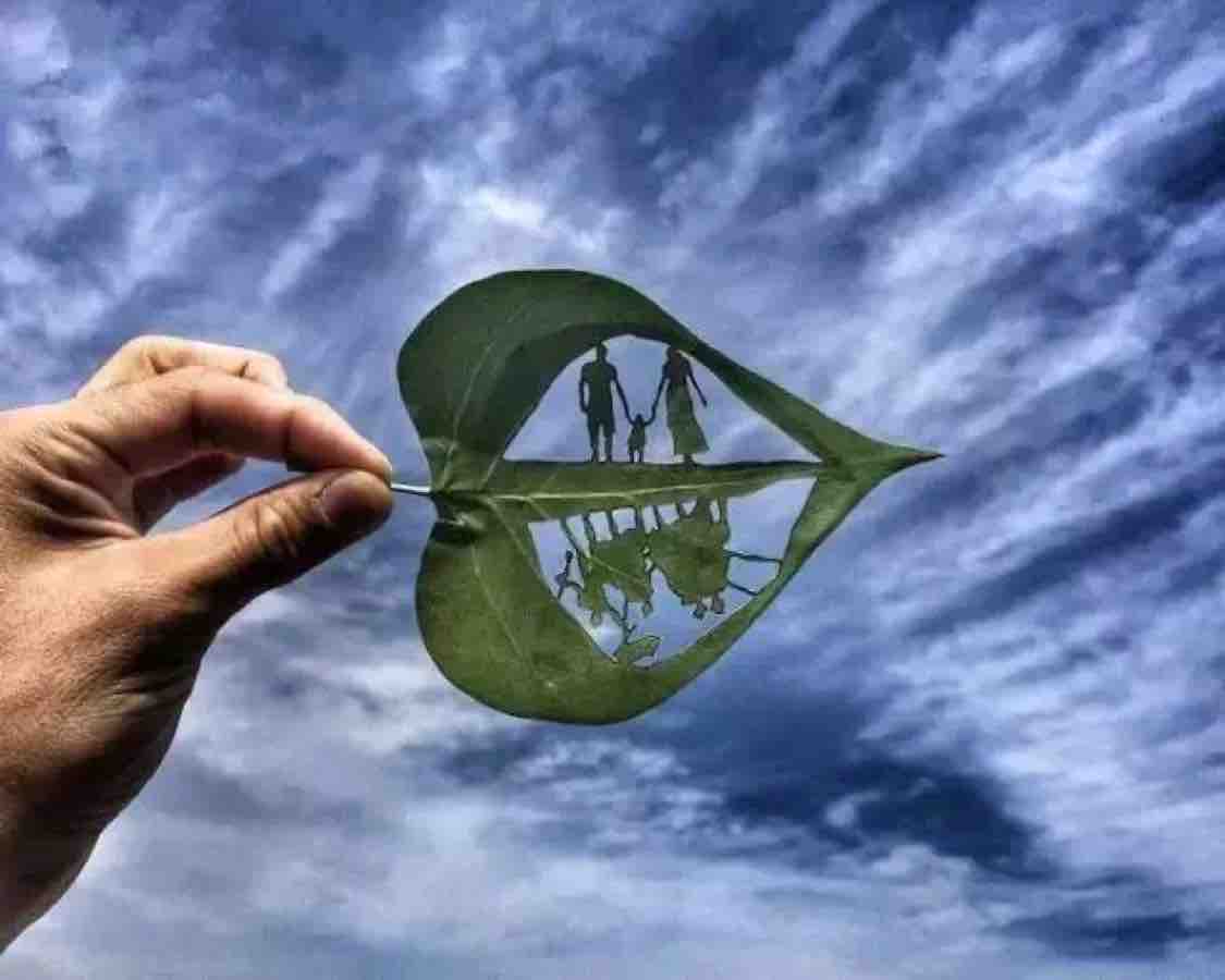蜜米拉头像