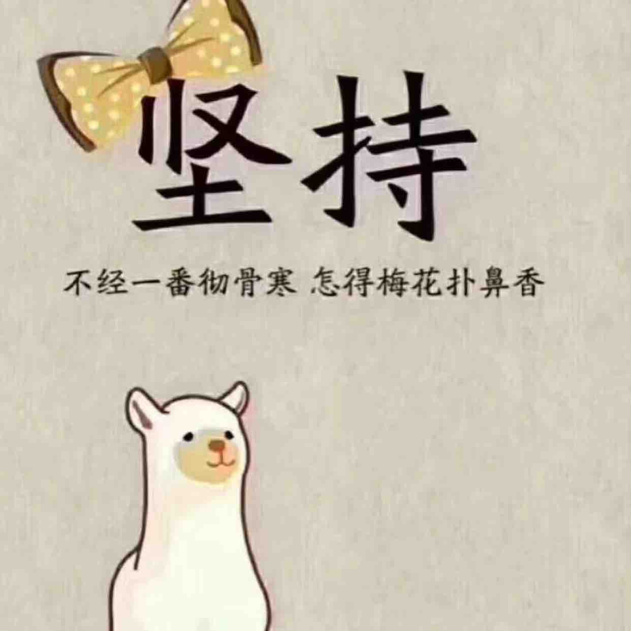 谢leng头像