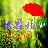 同春印象头像