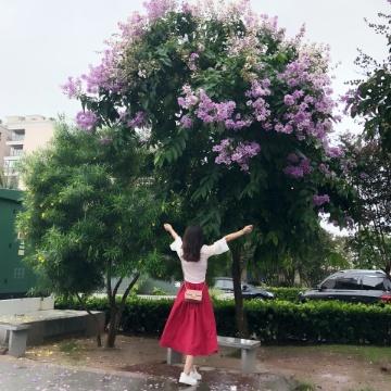 大内没有高手头像