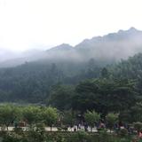 热情风筝1GO头像