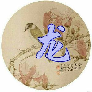 Dragon游戏菜鸟头像