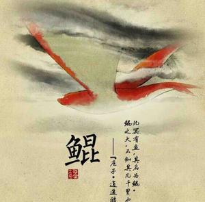 读书的木鱼头像