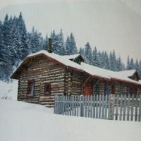 风一样的5263头像