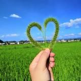 落苏苏苏苏苏苏苏苏头像