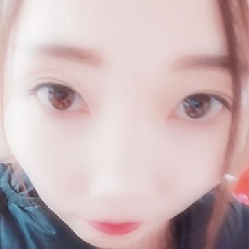 旺顺犬业头像