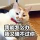 文涛955k0 · 悦动车主·车龄4年头像