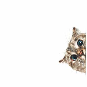 用户2078416736731头像