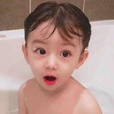 森有麋鹿时孤独头像