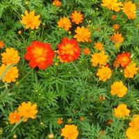 风中看看1221头像