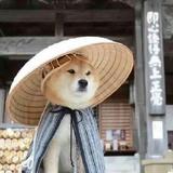 redmoon6头像