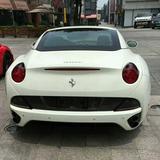 高贵沙滩zp头像