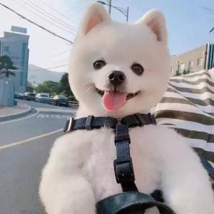 用户5084787104728头像