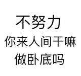 贰零壹玖零壹叁壹头像