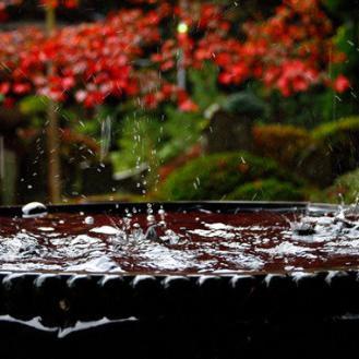 下雨天更浪漫头像