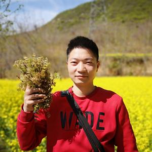 执子之手，与子偕老:【正在学习试播头像