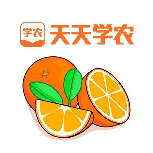 天天学农柑橘种植团队头像