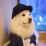 喜之郎头像