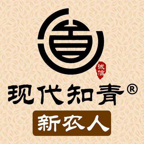 现代知青新农人头像