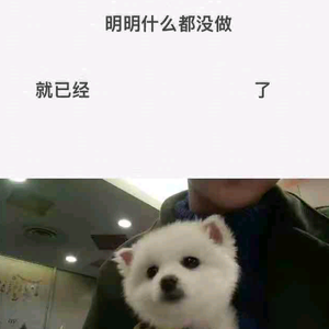 用户8722380348686头像