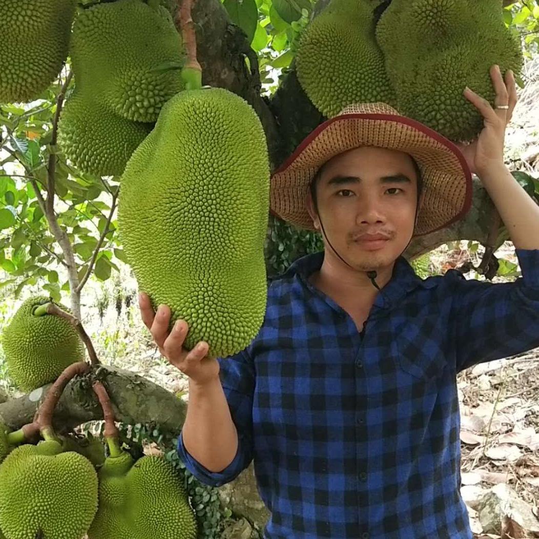 阿龙是果农头像