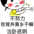 MrCashDior头像