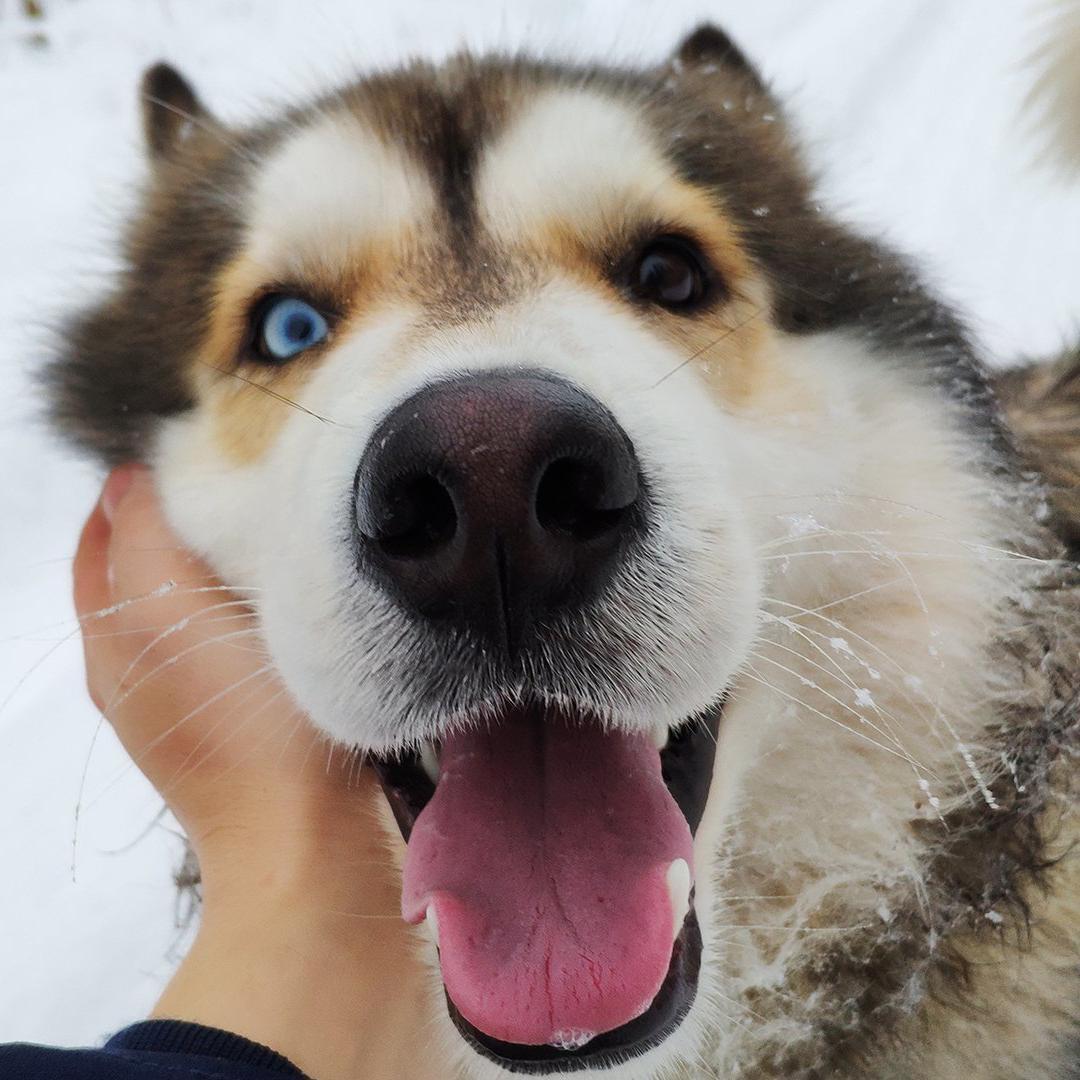 冬雪白的故事头像