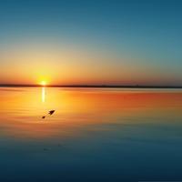 潮车前沿圏头像