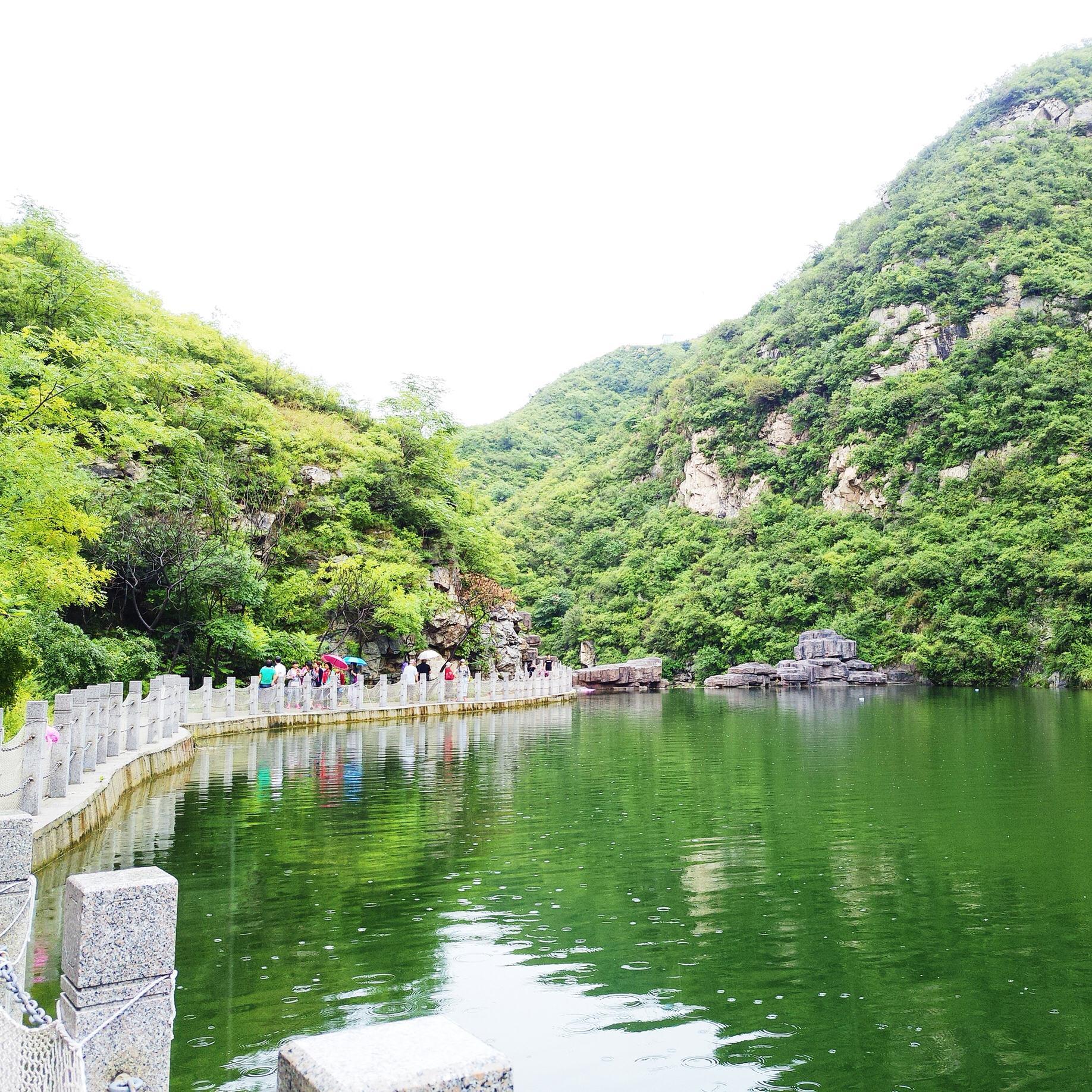 向日葵永远向上头像