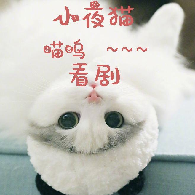 追剧小夜猫头像